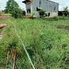 Cần bán mảnh đất tại Xã Hưng Long, Bình Chánh, Hồ Chí Minh